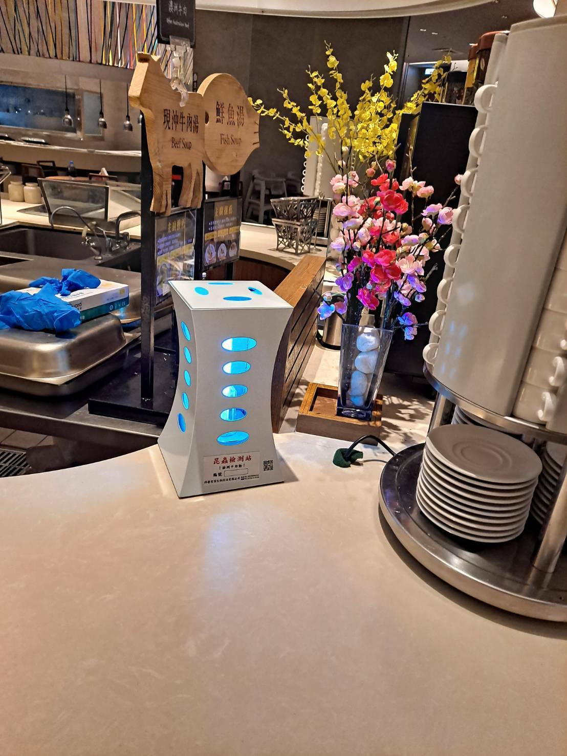 Restaurant Insect Killer Placement