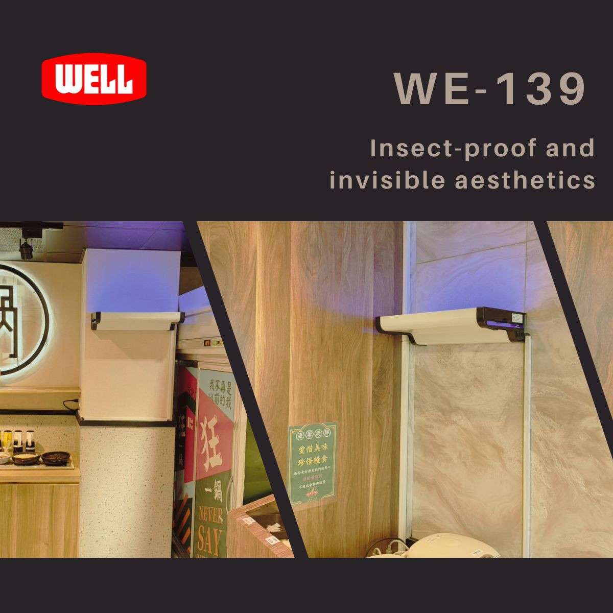 WE-139 installed in chain restaurant dining area for flying insect control