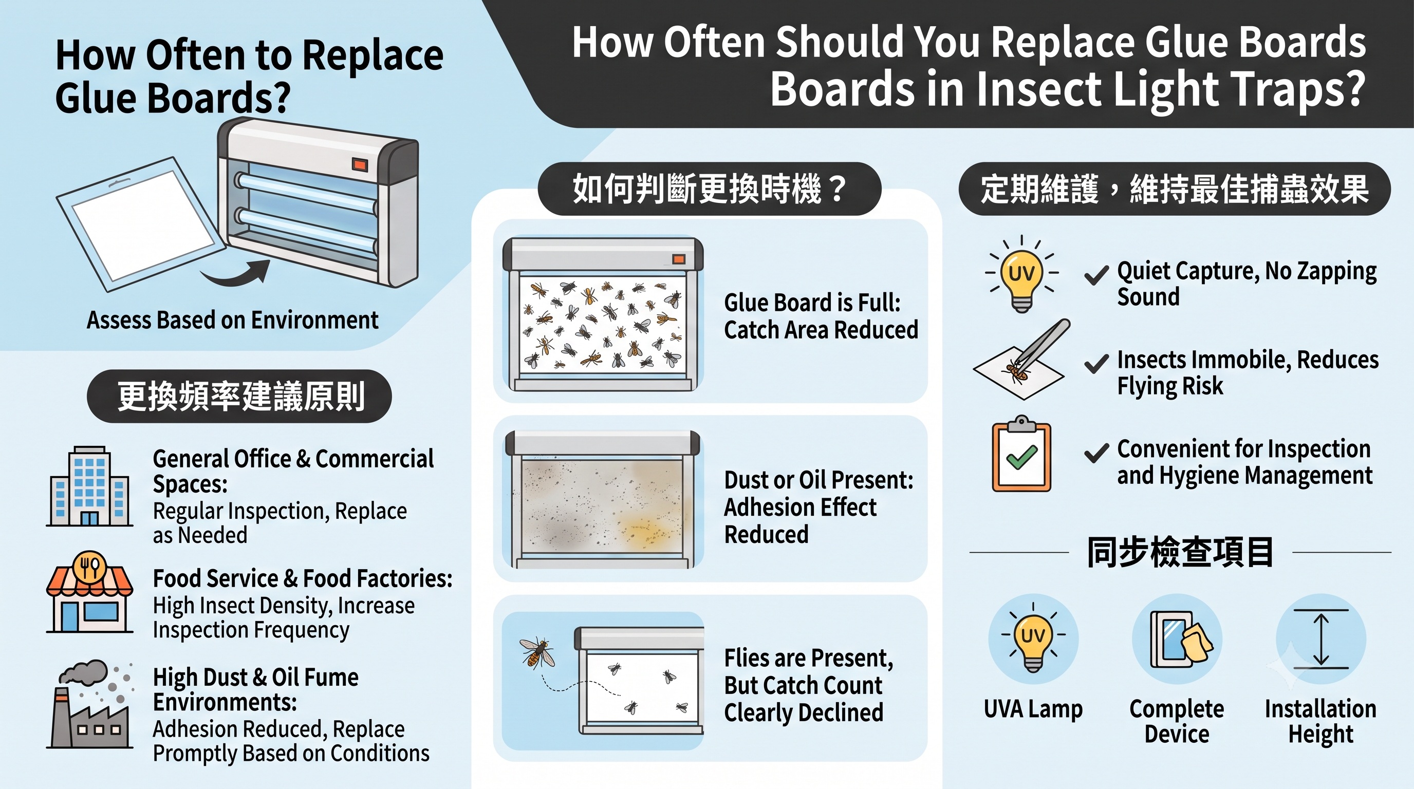 Glue Board Replacement and Maintenance for Insect Light Traps