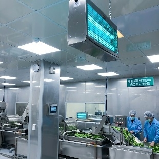 HACCP-Insect-Trap-Buying-Guide.jpg
