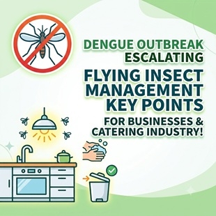 dengue-fever-flying-insect-control.jpg